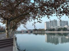 -泰州凤城河风景区-泰山公园