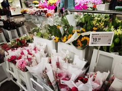 -盒马X会员店(王府井奥莱UP TOWN店)
