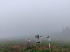 -东白山