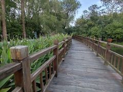 -溱湖国家湿地公园