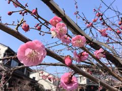 -雅达·阳羡溪山小镇中心