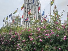 -南京国际青年文化中心