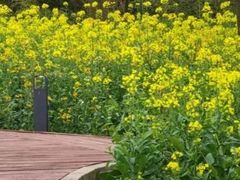 -上海吴淞炮台湾国家湿地公园