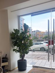 -WENDY·温迪皮肤管理