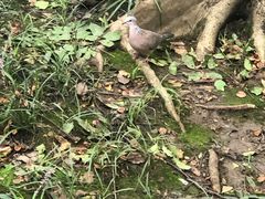 -徐家汇源景区-衡山公园