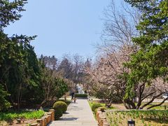 -棒棰岛宾馆景区