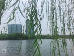 -杭州城北体育公园