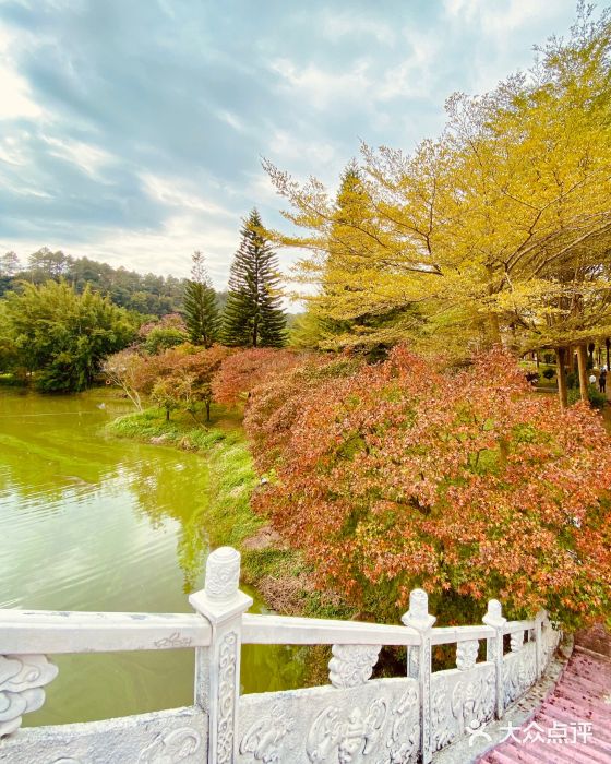 田野绿世界图片