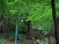 -敬亭山风景名胜区