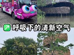 -大湾区中央湿地公园