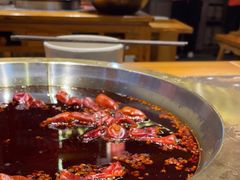 -堂客老火锅(欣阳广场总店)