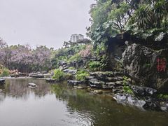 -柳侯公园