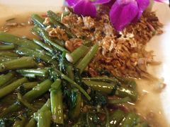 炒牵牛花-Daddy Nimman Chiang Mai