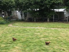 -广东花都香草世界旅游度假区