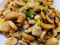 -天鹅到家·保姆月嫂育儿嫂(浦东店)