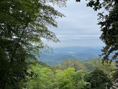 -莫干山风景区