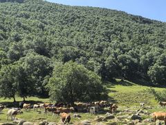 -克什克腾世界地质公园青山景区