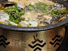 -探鱼·鲜青椒爽麻烤鱼(天一广场店)