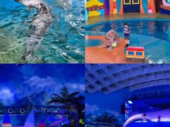 -海合安武汉极地海洋公园