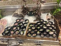 -初色海鲜自助(万丰路店)