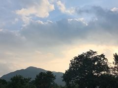 -波尔登森林公园