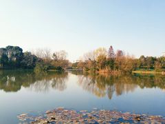 -新江湾城公园