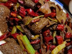 -福苗小骆驼烧烤(大唐不夜城店)