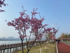 -艾溪湖湿地公园