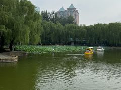 -团结湖公园