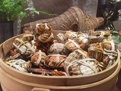 -太湖饭店玉兰厅(自助餐厅)