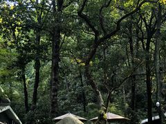 -九曜山