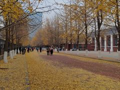 -辽宁大学(崇山校区)
