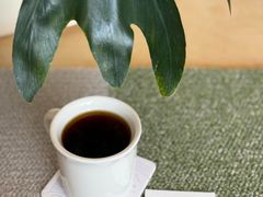 -纽巷咖啡 SOFTFOCUS COFFEE(锦和巴黎时韵店)