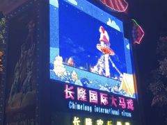 -广州长隆国际大马戏