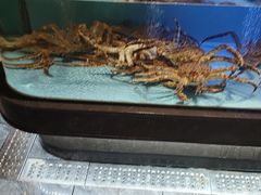 -阿伟海鲜楼·福建菜(延寿店)