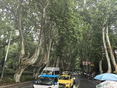 -灵谷景区