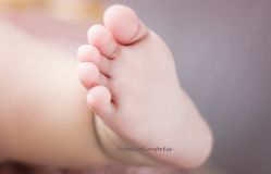 -热靴映画儿童摄影工作室(绍兴水街壹号文创园店)