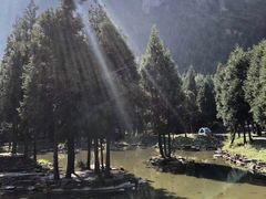 -重庆睡佛山森林公园