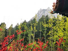 -北京凤凰岭