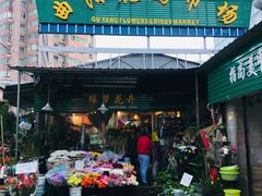 -曲阳花鸟市场(曲阳路店)