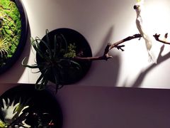 -河风精致寿司(昌平店)