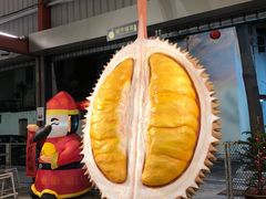 -都念榴莲·城市榴莲