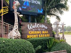 -清迈夜间动物园