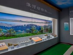 -泗洪洪泽湖湿地景区