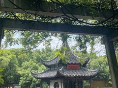 -西园戒幢律寺