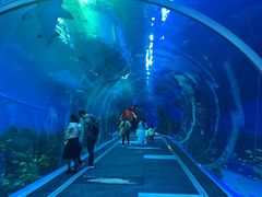 -成都浩海立方海洋公园