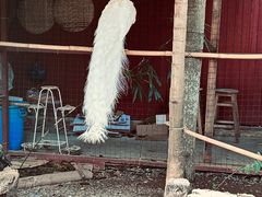 -西双版纳总佛寺