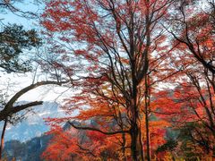 -光雾山旅游景区
