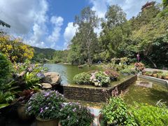 -深圳仙湖植物园