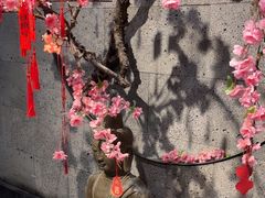 -呷哺呷哺 小火锅 (浦东新欧尚超市店)